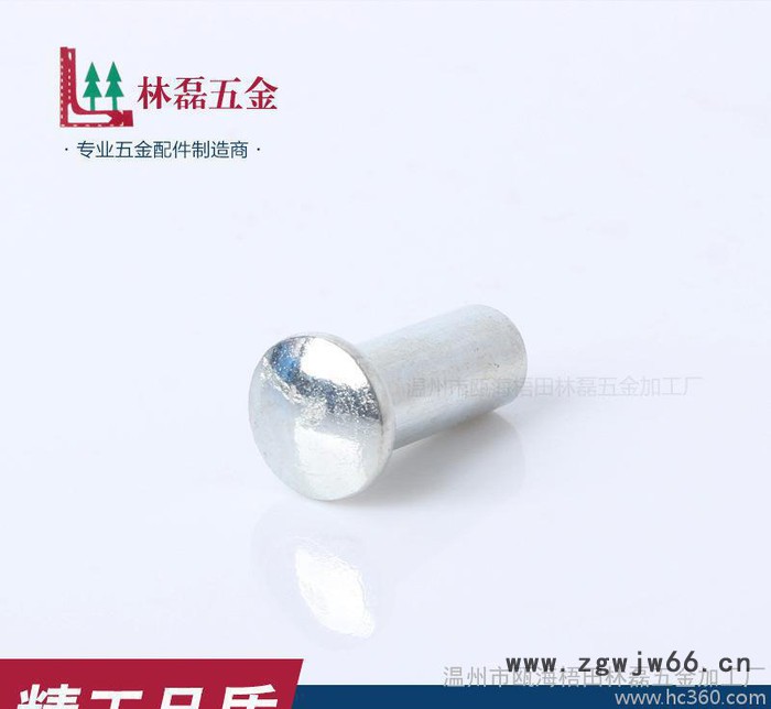 专业生产平头半空芯铆钉 **不锈钢紧固件冷镦件来图定制图2