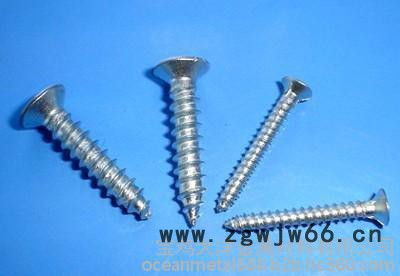 钛紧固件 TA1十字沉头螺钉图2