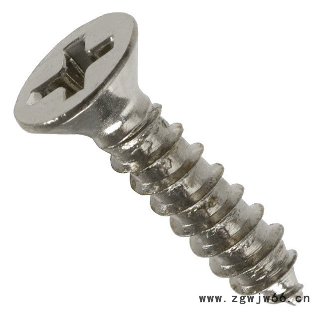 钛紧固件 TA1十字沉头螺钉图4