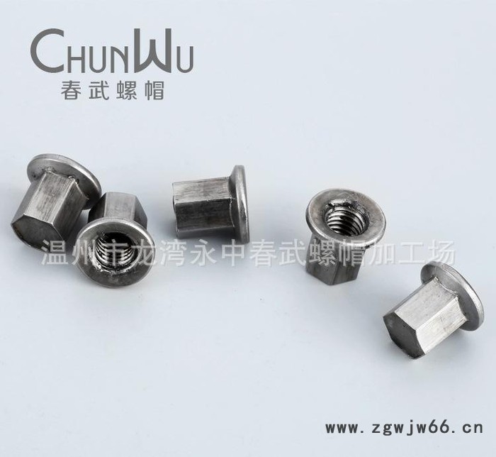 专门生产定制 六角T型螺帽 非标连接件 非标紧固件图3