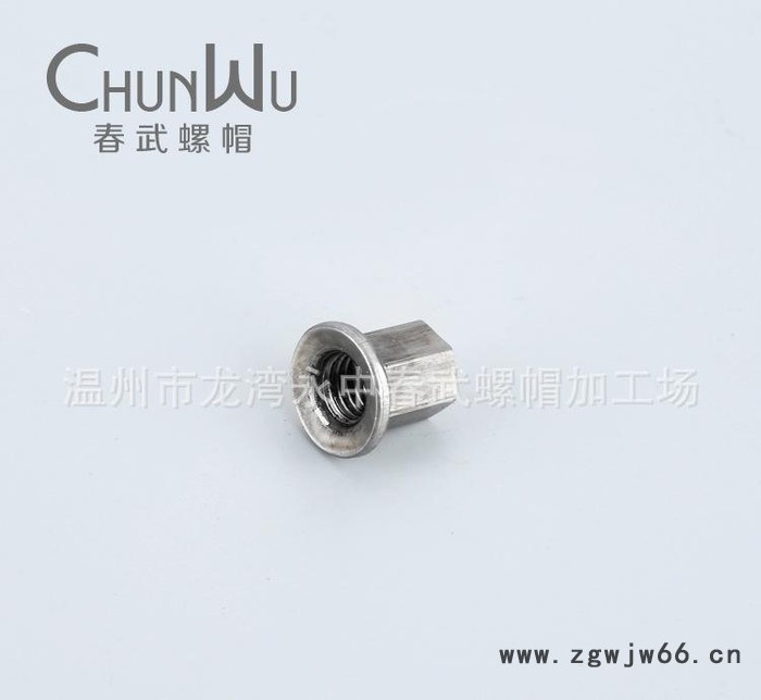 专门生产定制 六角T型螺帽 非标连接件 非标紧固件图2