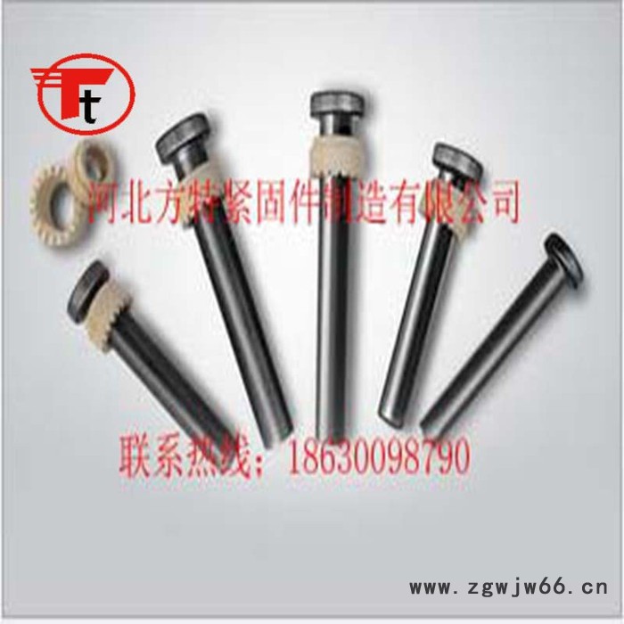 河北方特紧固件制造有限公司直销  栓钉  焊钉 剪力钉 16*80  常年备有现货  量大从优     欢迎前来咨询！图4