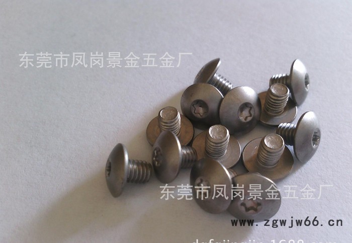 东莞专业生产加工螺丝钉 非标螺丝 螺栓 机械紧固件 不锈钢螺丝图2