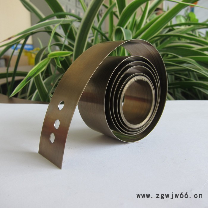 鑫惠雄SDP16 货架推进器发条   变力弹簧图2