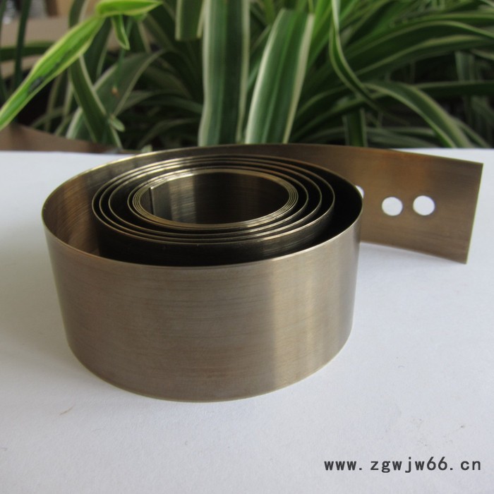 鑫惠雄SDP16 货架推进器发条   变力弹簧图3