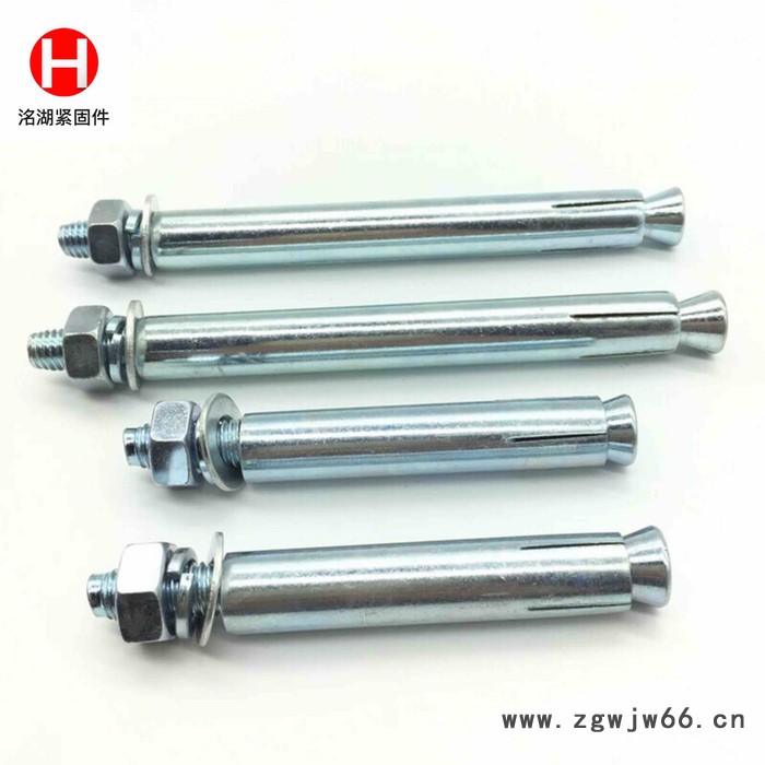 河北洺湖**膨胀螺丝紧固件  紧固件厂家 膨胀螺丝批发销售 欢迎来电咨询图3