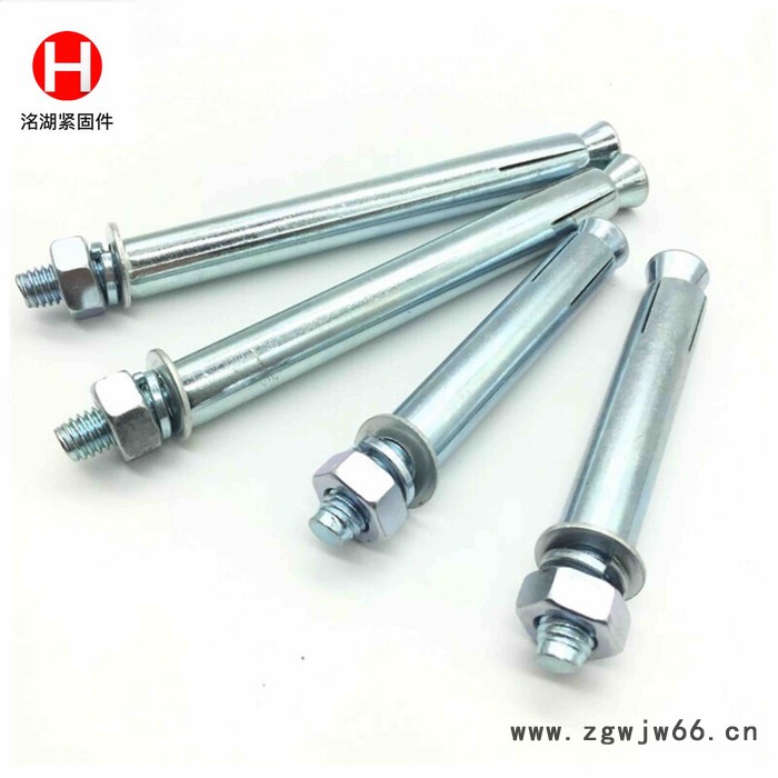 河北洺湖**膨胀螺丝紧固件  紧固件厂家 膨胀螺丝批发销售 欢迎来电咨询图5