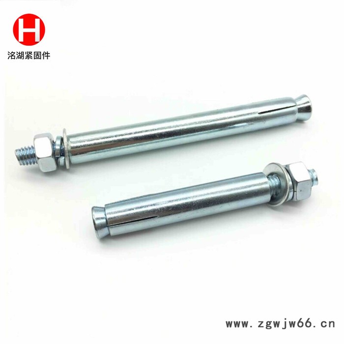 河北洺湖**膨胀螺丝紧固件  紧固件厂家 膨胀螺丝批发销售 欢迎来电咨询图4