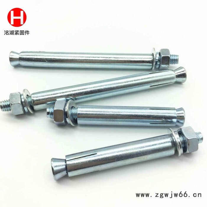 河北洺湖**膨胀螺丝紧固件  紧固件厂家 膨胀螺丝批发销售 欢迎来电咨询图2