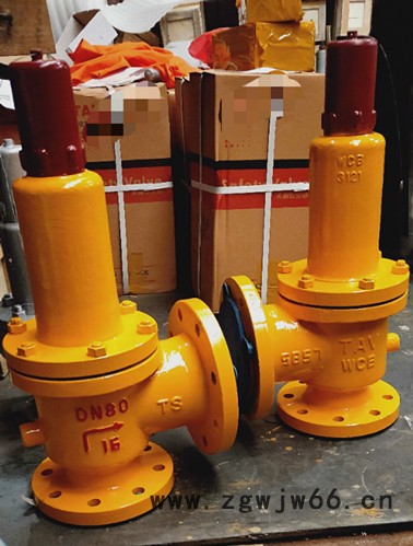 WA42F46弹簧式衬氟安全阀 正宣 弹簧全启式衬氟安全阀图5