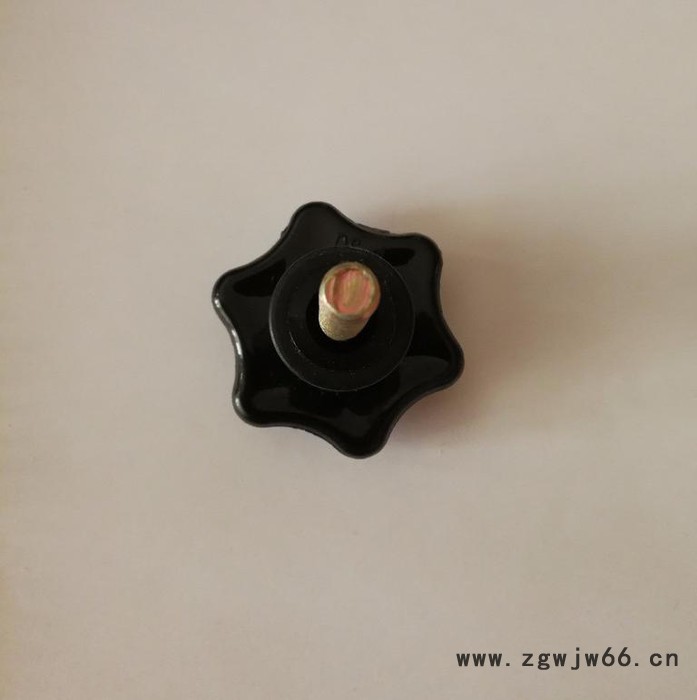 东盛DS-05 六角星型 塑料手柄 手拧螺丝 国标紧固件M8M10图2