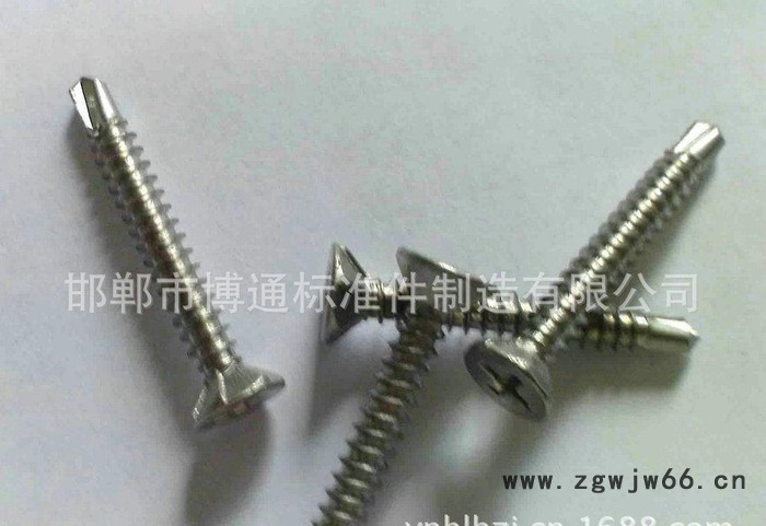 河北 标准紧固件钻尾螺丝 十字自攻螺丝图3