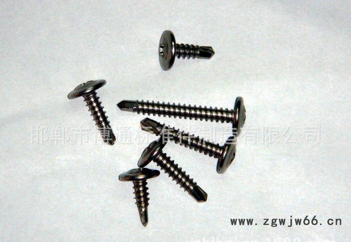 河北 标准紧固件钻尾螺丝 十字自攻螺丝