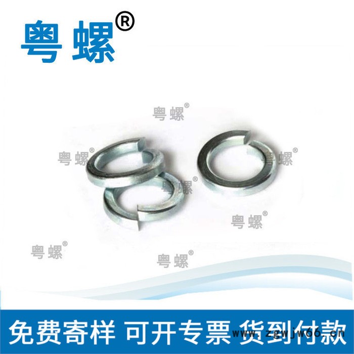 江门各种规格DIN2093垫圈厂商 弹簧垫圈厂家 粤螺定制不锈钢垫片 弹簧垫圈图3