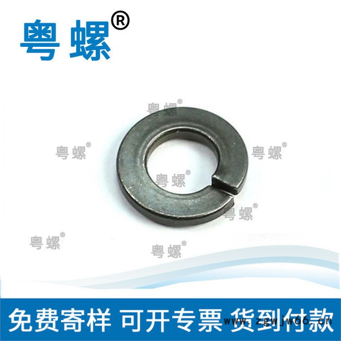 江门各种规格DIN2093垫圈厂商 弹簧垫圈厂家 粤螺定制不锈钢垫片 弹簧垫圈图5