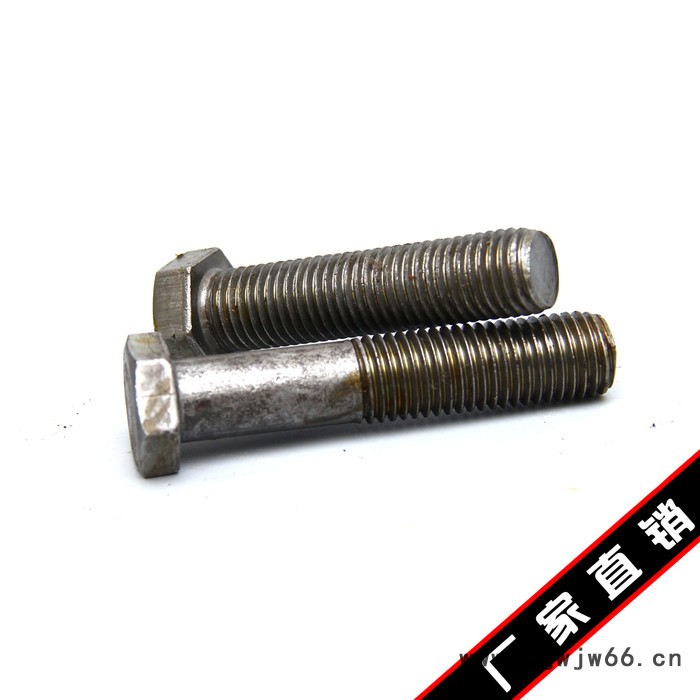 拍前询价 鑫航盛 螺丝高强度螺丝 镀锌 紧固件 异型螺丝图5