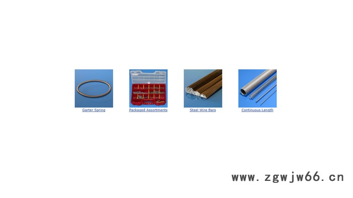 优势供应Febrotec弹簧图3