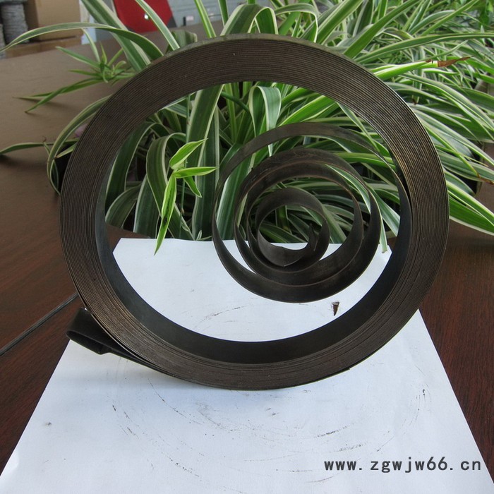 鑫惠雄ZC04平面涡卷变力弹簧 钻床复位发条图3