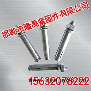 膨胀栓【隆禹紧固件】图2