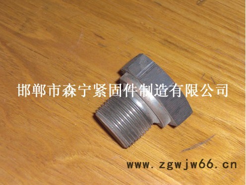 供应森宁14/16/18法兰油塞，森宁紧固件制造有限公司图3