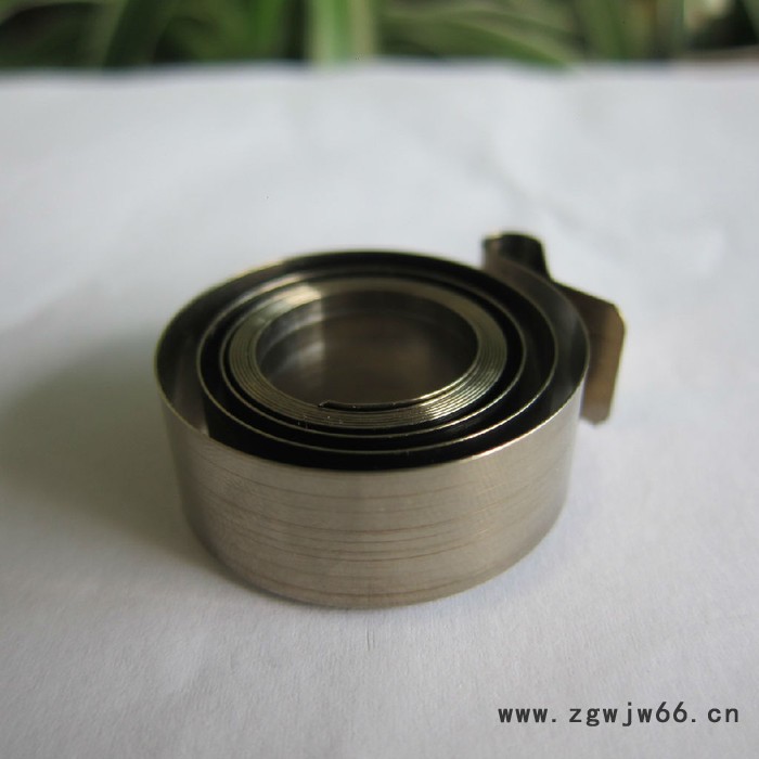 鑫恵雄XHX-SDP1货架推进器发条 涡卷弹簧图3