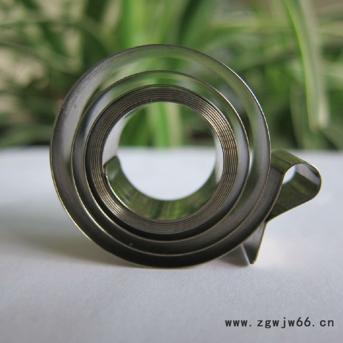 鑫恵雄XHX-SDP1货架推进器发条 涡卷弹簧图4