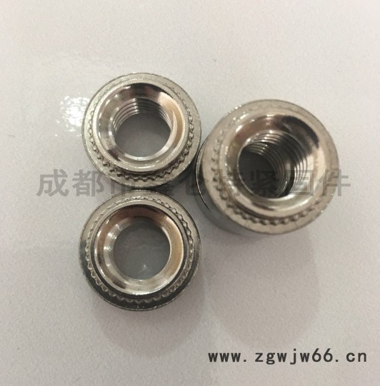 不锈钢铆钉/鑫仑特紧固件/成都拉铆钉/抽芯铆钉图4