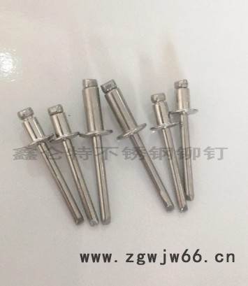 不锈钢铆钉/鑫仑特紧固件/成都拉铆钉/抽芯铆钉图5