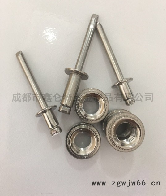 不锈钢铆钉/鑫仑特紧固件/成都拉铆钉/抽芯铆钉图3