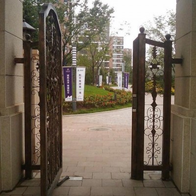 山东临沂、枣庄、威海电动地弹簧厂家电话 小区自动门批发价格 冷雨电动地弹簧LEY2008DBW批发 闭门器/开门器