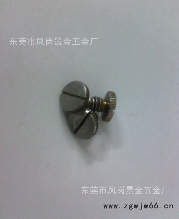 东莞专业生产和加工非标螺丝 螺栓 机械紧固件 车床件二次加工图2