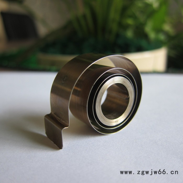 鑫惠雄SDP22 货架推进器涡卷弹簧 变力发条图2