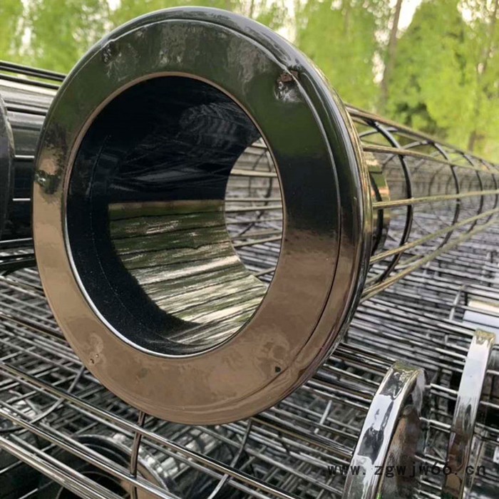 弹簧除尘骨架生产厂家 镀锌弹簧骨架 脉冲除尘骨架  欣千环保   实体厂家  品质保证图2