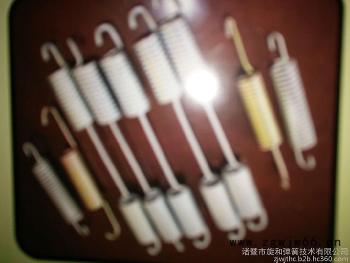供应RTZ130-720双螺旋弹簧图5