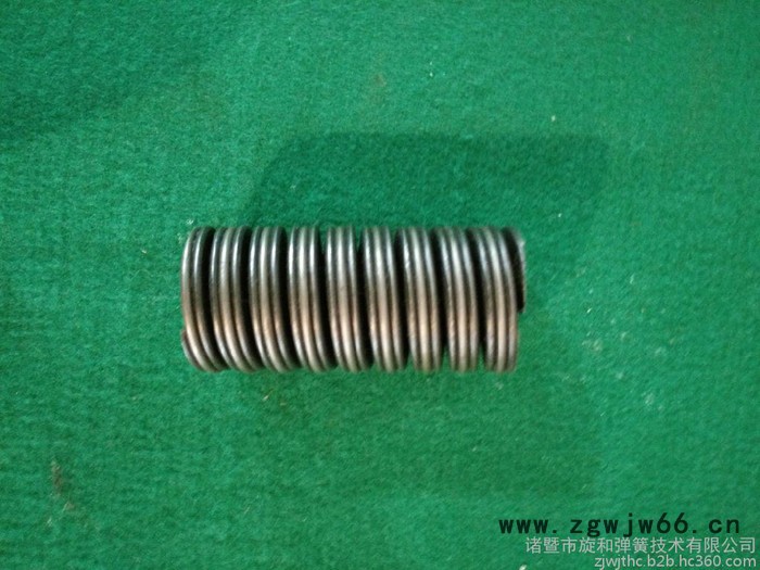 供应RTZ130-720双螺旋弹簧图6