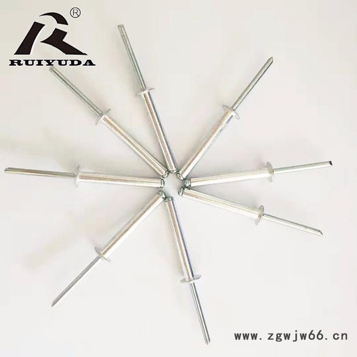 圆头抽芯铆钉厂家定制拉钉 国标紧固件定制 灯笼拉钉定制 工厂直销RUIK1-4.7×3.5图2