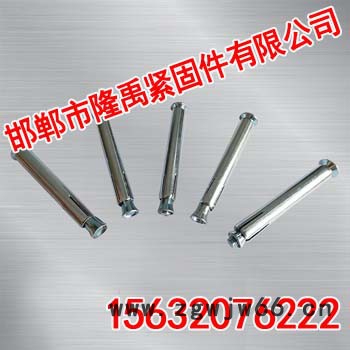 邯郸内胀栓【隆禹紧固件】图3