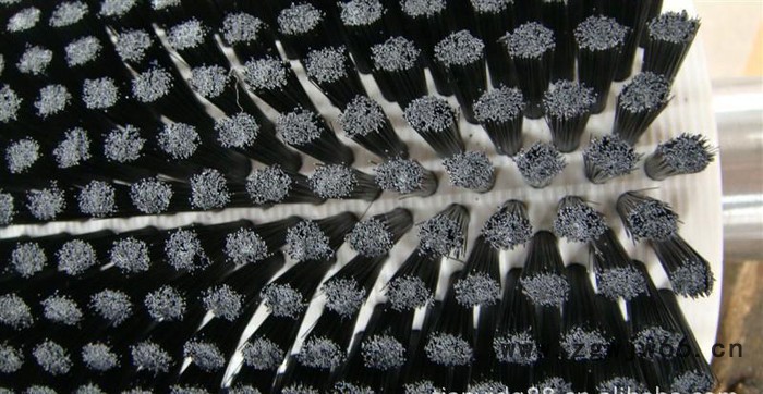 毛刷辊 弹簧刷辊厂 水果清洗机毛刷图3