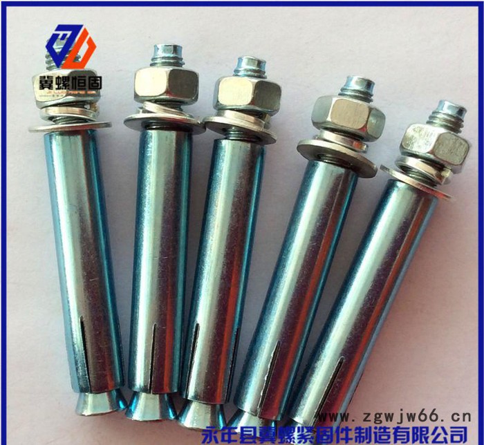 冀螺现货高品质膨胀螺栓膨胀丝全系列国标紧固件图2