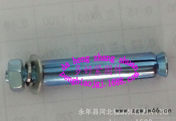 鹏标紧固件专业生产加工膨胀螺栓M6*80图2