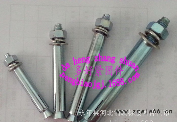 鹏标紧固件专业生产加工膨胀螺栓M6*80图3