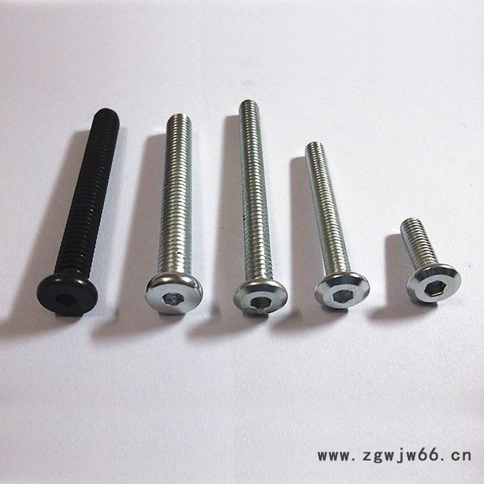 盛贵紧固件 门窗螺丝 家具机螺钉 可手动拧紧 耐磨耐用 价格实惠