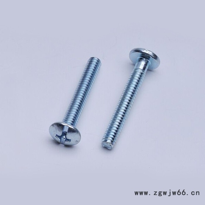 盛贵紧固件 门窗螺丝 家具机螺钉 可手动拧紧 耐磨耐用 价格实惠图2