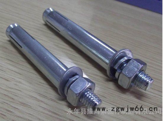 耀辉紧固件供应国标膨胀螺丝现货图2