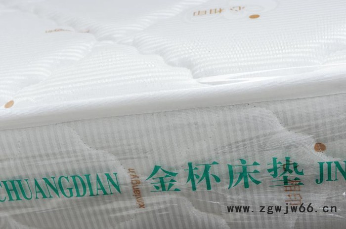 圣多美家居定制床垫 双面弹簧 双功能床垫图3