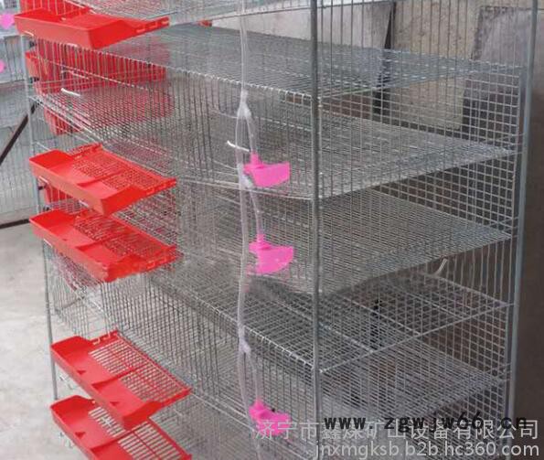 弹簧门**笼报价       弹簧门**笼**中图5