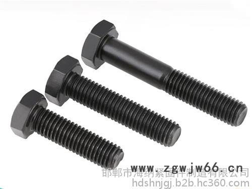 海纳紧固件品质出众|六角螺栓