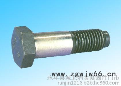 润金紧固件M16X100绞制孔螺栓图2