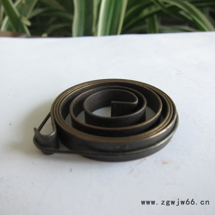 鑫惠雄DL12宠物收线器发条 牵狗器弹簧 厂家定做图4