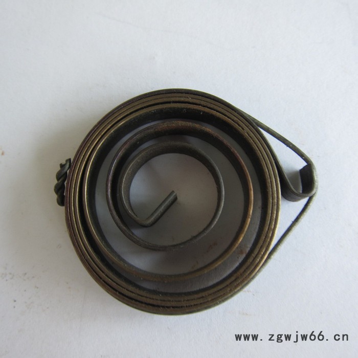 鑫惠雄DL12宠物收线器发条 牵狗器弹簧 厂家定做图2